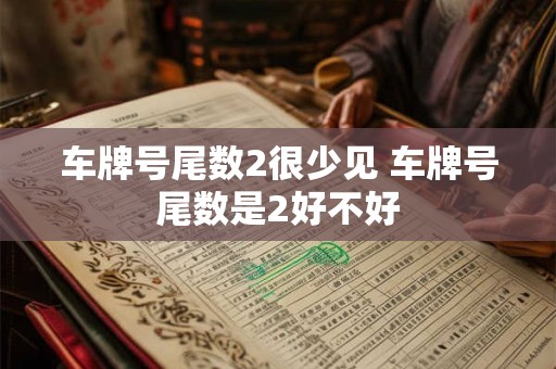 车牌号尾数2很少见 车牌号尾数是2好不好