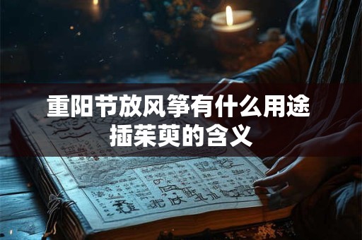 重阳节放风筝有什么用途 插茱萸的含义