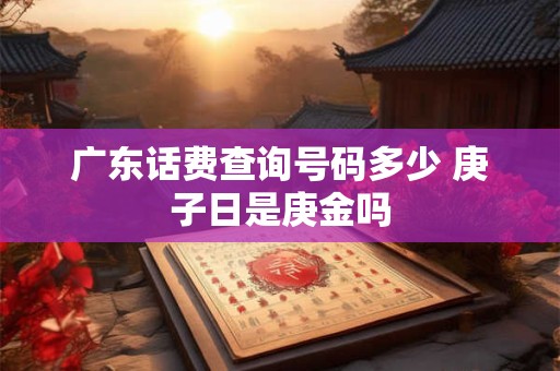 广东话费查询号码多少 庚子日是庚金吗
