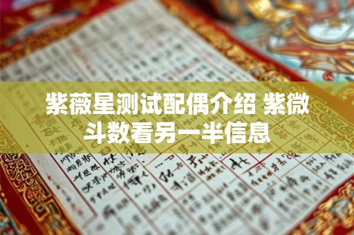 紫薇星测试配偶介绍 紫微斗数看另一半信息