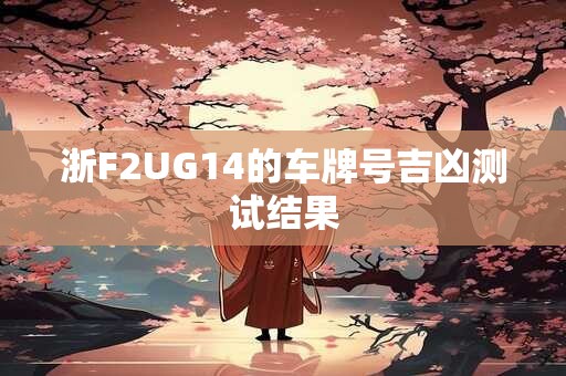 浙F2UG14的车牌号吉凶测试结果