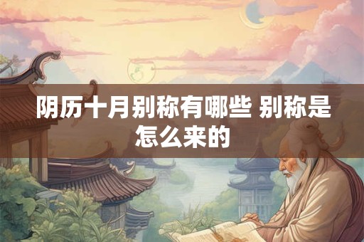 阴历准还是阳历准？更适合我们的历法