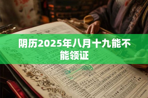 阴历2025年八月十九能不能领证