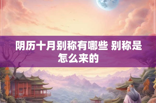 阴历2025年八月十九能不能领证