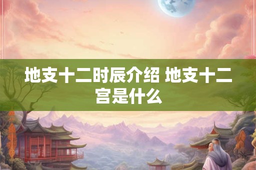 地支十二时辰介绍 地支十二宫是什么