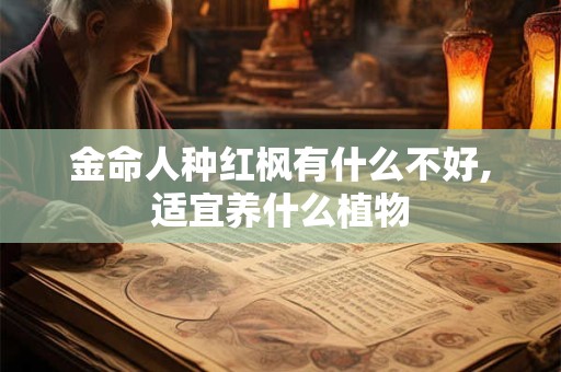 金命人种红枫有什么不好,适宜养什么植物