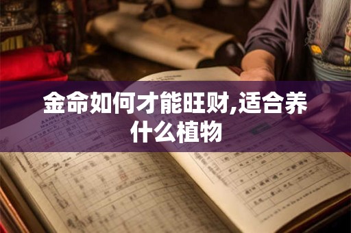 金命如何发财？金命人的发财方位