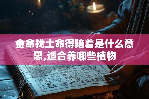 详细阅读:金命找什么命结婚好,怎样跟金命人相处 金命找什么命结婚好,怎样跟金命人相处
