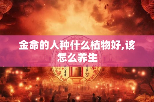 金命的人种什么植物好,该怎么养生