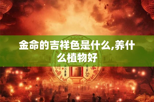 金命的人风水改运办法有哪些