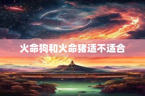 火命狗和火命猪适不适合
