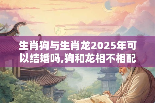 生肖狗和生肖猪2025年结婚吉利吗？会不会离婚？