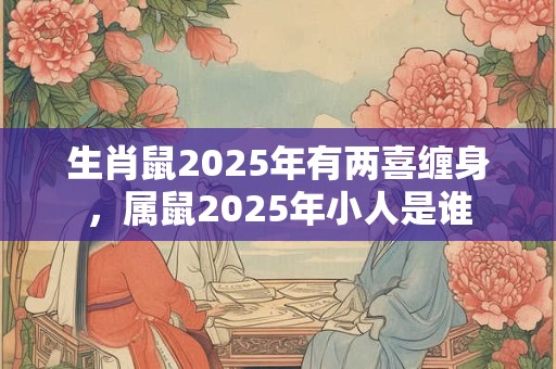 生肖鼠2025年整体运势分析,12个月份的运程详解