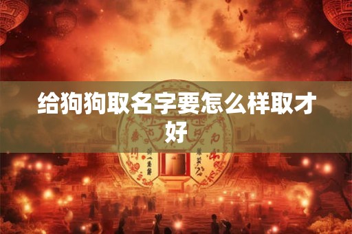 给狗狗取名字要怎么样取才好