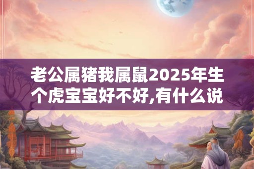 老公属猪我属马今年2025年生个虎宝宝好不好