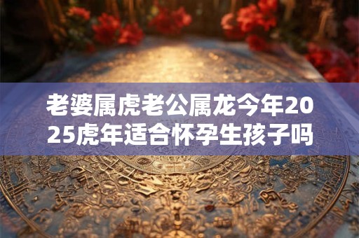 老婆属虎老公属龙今年2025虎年适合怀孕生孩子吗