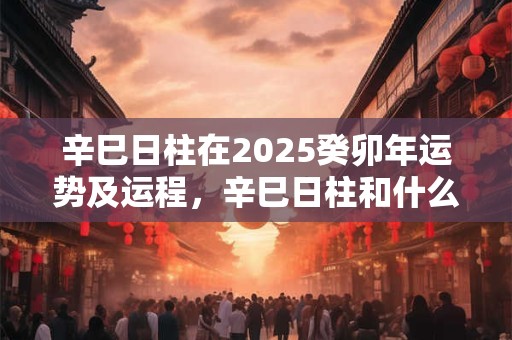 辛巳日柱在2025癸卯年运势及运程，辛巳日柱和什么日柱最配？