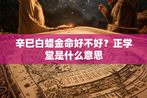 辛巳白蜡金命好不好？正学堂是什么意思