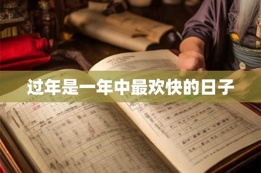 过年是一年中最欢快的日子