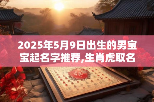 2025年5月9日出生的男宝宝起名字推荐,生肖虎取名