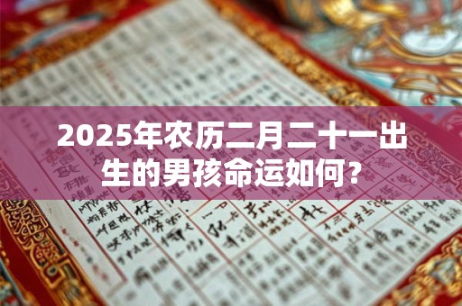 2025年农历二月二十一出生的男孩命运如何？
