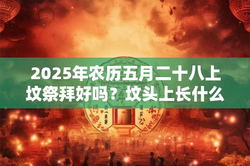 2025年农历五月二十八上坟祭拜好吗？坟头上长什么草出大官？