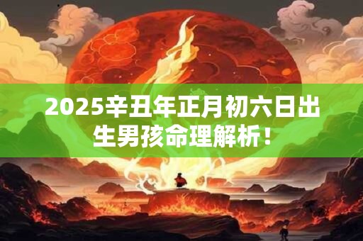 2025辛丑年正月初六日出生男孩命理解析！