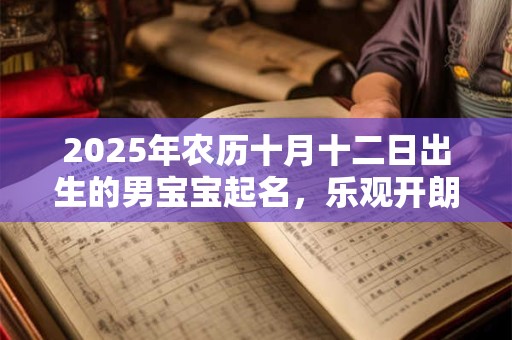 2025年农历十月十二日出生的男宝宝起名，乐观开朗名字大全