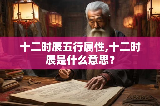十二时辰五行属性,十二时辰是什么意思？