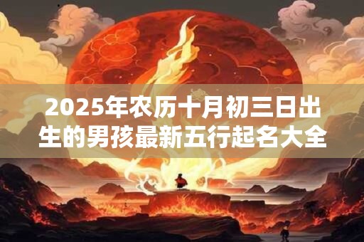 2025年农历十月初三日出生的男孩最新五行起名大全