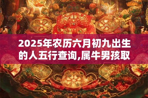 2025年农历六月初九出生的人五行查询,属牛男孩取名