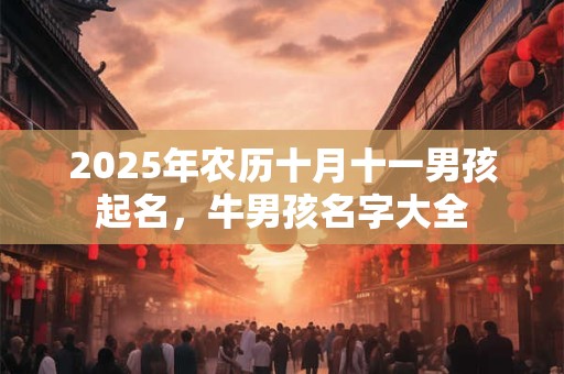 2025年农历十月十一男孩起名，牛男孩名字大全