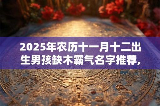 2025年农历十一月十二出生男孩缺木霸气名字推荐,带木有寓意起名用字