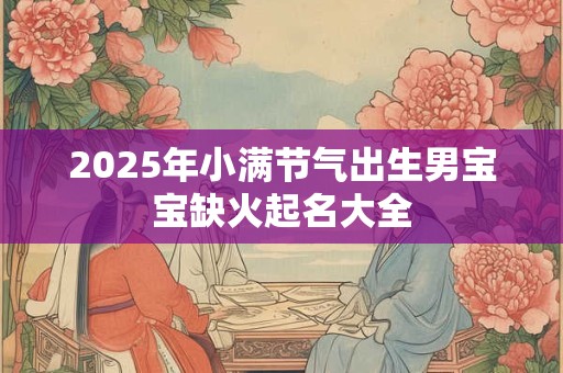 2025年小满节气出生男宝宝缺火起名大全
