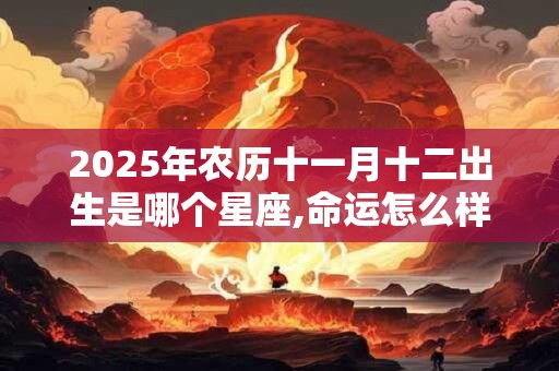 2025年农历十一月十二出生是哪个星座,命运怎么样？
