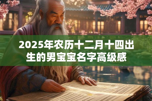 2025年农历十二月十四出生的男宝宝名字高级感