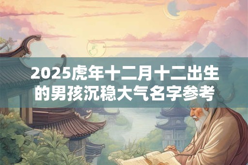 2025虎年十二月十二出生的男孩沉稳大气名字参考
