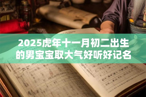 2025虎年十一月初二出生的男宝宝取大气好听好记名字