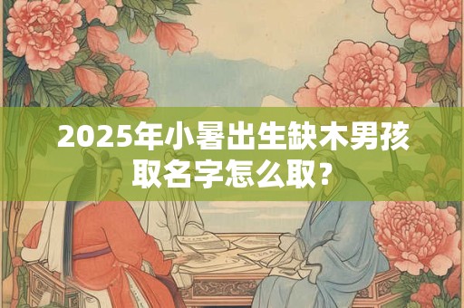 2025年小暑出生缺木男孩取名字怎么取？
