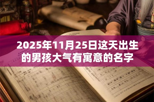 2025年11月25日这天出生的男孩大气有寓意的名字