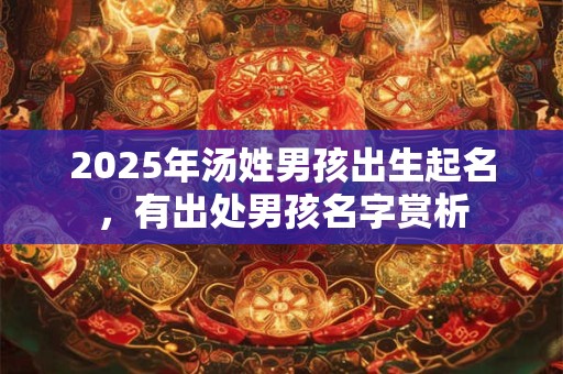 2025年汤姓男孩出生起名，有出处男孩名字赏析