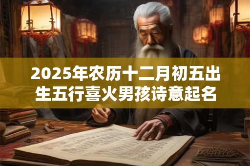 2025年农历十二月初五出生五行喜火男孩诗意起名