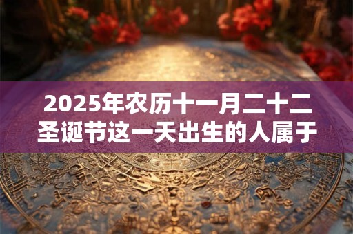 2025年农历十一月二十二圣诞节这一天出生的人属于什么星座？