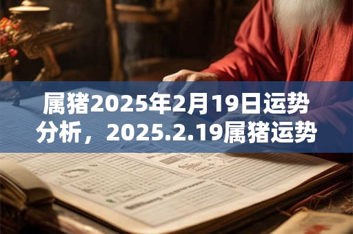 属猪2025年2月19日运势分析，2025.2.19属猪运势分析