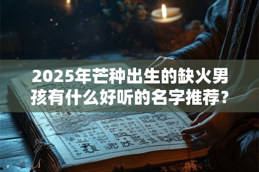2025年芒种出生的缺火男孩有什么好听的名字推荐? 2025年芒种出生的缺火男孩有什么好听的名字推荐?