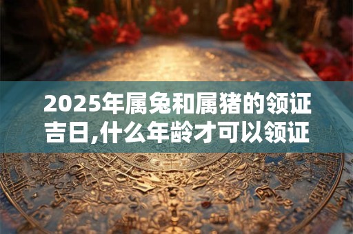 2025年属兔和属猪的领证吉日,什么年龄才可以领证