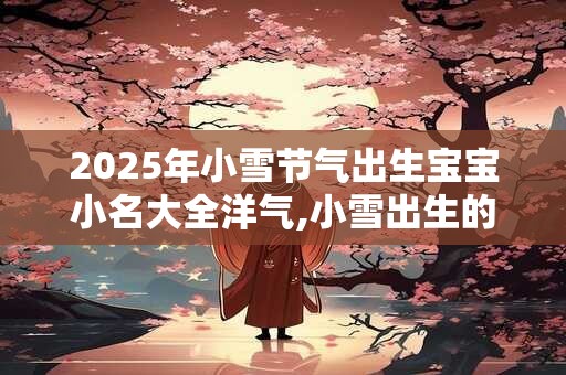 2025年小雪节气出生宝宝小名大全洋气,小雪出生的宝宝名字