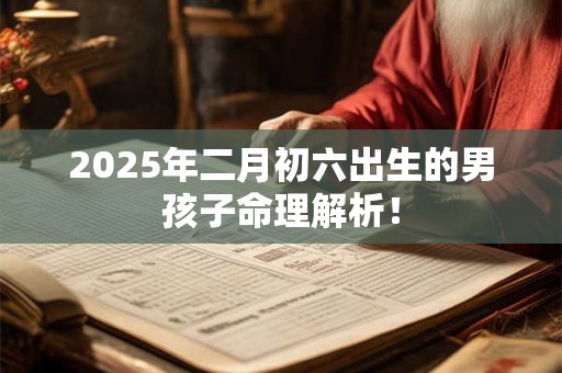 2025年二月初六出生的男孩子命理解析！