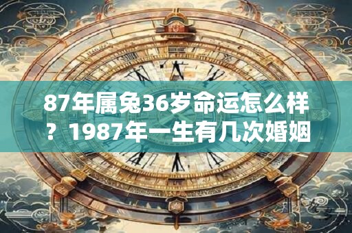 87年属兔36岁命运怎么样？1987年一生有几次婚姻？