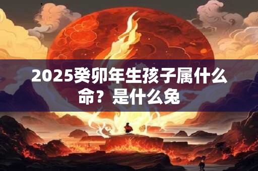 2025癸卯年生孩子属什么命？是什么兔